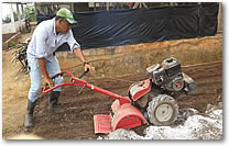 FMI agronomist tills garden plots, then rollover closeup image of radishes and cucumbers.